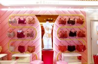 河南內(nèi)衣展柜 河南內(nèi)衣展柜